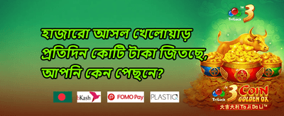 ফ্রি স্পিন মেগা অফার promotion